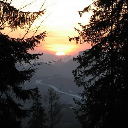 农家乐 卡罗利纳农家乐 *