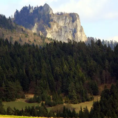 卡罗利纳农家乐