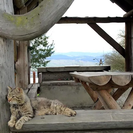 Gospodarstwo Karolina Huba