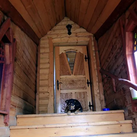 卡罗利纳农家乐