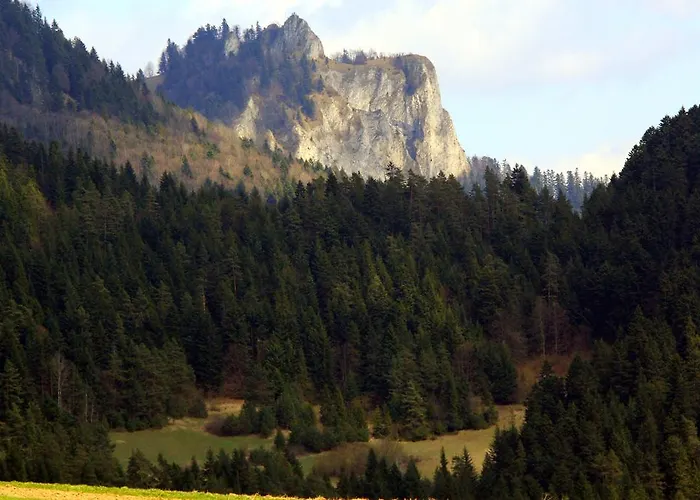 Gospodarstwo Karolina