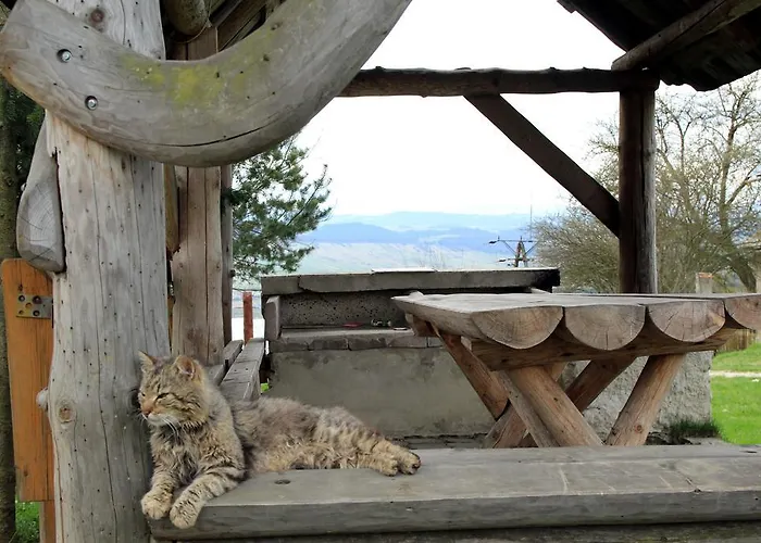 Gospodarstwo Karolina Huba